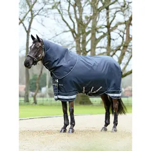 Vandtæt udendørs hestedækken LeMieux Arika Storm-Tek 350g image-2