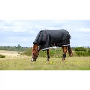 Waterproof  Blanket LeMieux Arika Storm-Tek 350g image-1