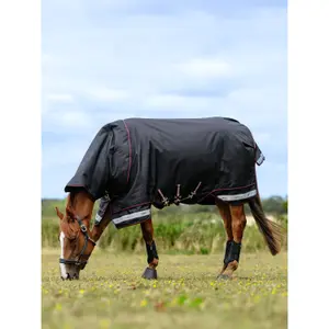 Waterproof  Blanket LeMieux Arika Storm-Tek 350g image-3