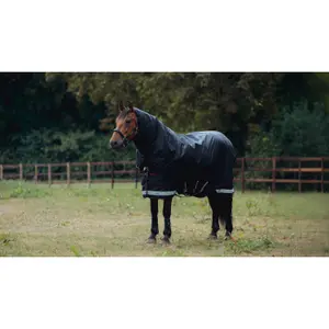 Waterproof  Blanket LeMieux Arika Storm-Tek 350g image-4