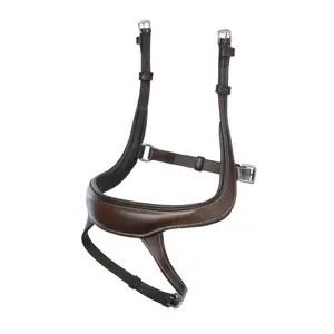 Horse cheek pieces LeMieux Arika