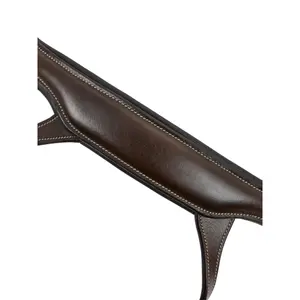 Horse cheek pieces LeMieux Arika image-1