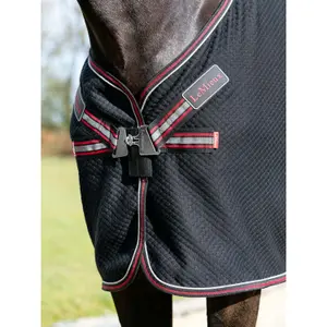 Drying shirt for horses LeMieux Kudos image-1