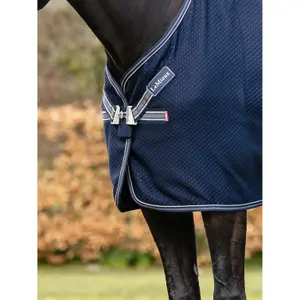 Drying shirt for horses LeMieux Kudos image-1