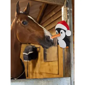 Παιχνίδι για άλογο LeMieux Pingouin image-1