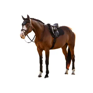 Sattelunterlage für Pferd aus Baumwolle LeMieux