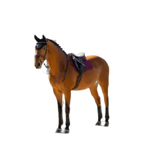 Satteldecke für Pferde LeMieux image-0