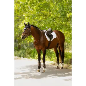 Satteldecke für Pferde Mischgewebe Baumwolle LeMieux image-2