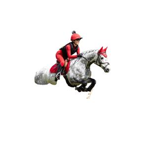 Almofada de sela para cavalos mistos LeMieux image-1