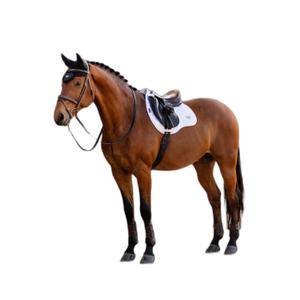 Almofada de sela para cavalos mistos LeMieux Loire Classic image-0