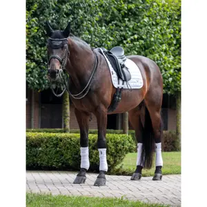 Dressage saddle pad for horses LeMieux Square image-1