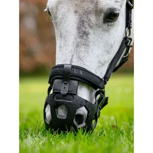 Muselière de pâturage pour cheval nylon LeMieux image-2