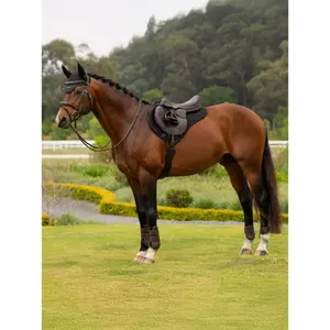 Τάπητας CSO σε mesh LeMieux Half Square Half Square Air-Tek image-2