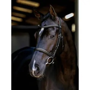 Bridles for horses LeMieux image-1