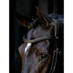 Bridles for horses LeMieux image-2