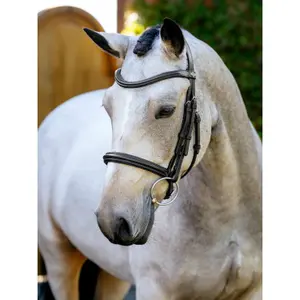 Bridles for Horse with Noseband LeMieux image-0