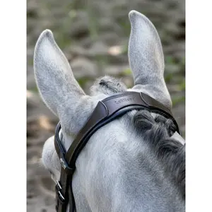 Bridles for Horse with Noseband LeMieux image-1