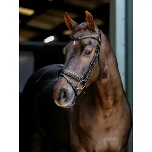 Dressage Bridle for Horse LeMieux image-0