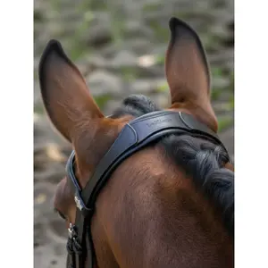 Dressage Bridle for Horse LeMieux image-1