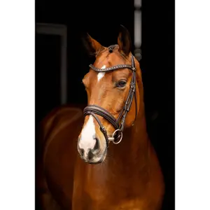 Dressage Bridle for Horse LeMieux image-0