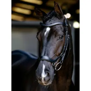 Falling Noseband Riding Bridle LeMieux image-0