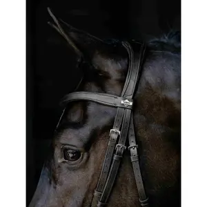 Falling Noseband Riding Bridle LeMieux image-1