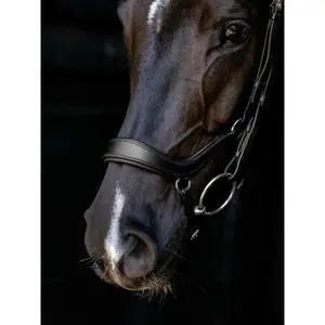 Falling Noseband Riding Bridle LeMieux image-2
