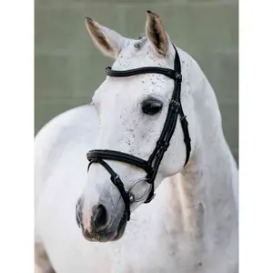 Bridles for horses LeMieux Arika image-0