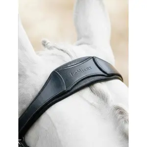 Bridles for horses LeMieux Arika image-3