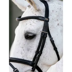 Bridles for horses LeMieux Arika image-1