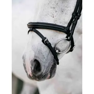 Bridles for horses LeMieux Arika image-2