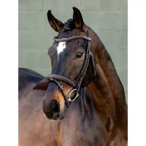 Bridles for horses LeMieux image-0
