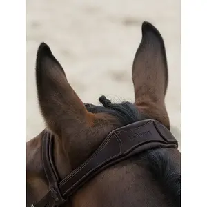 Bridles for horses LeMieux image-1