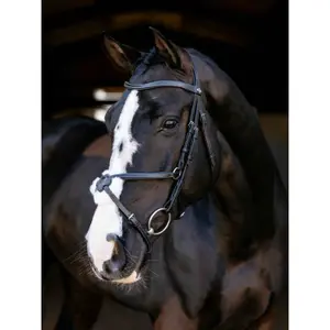 Bridle with crossed noseband LeMieux image-0