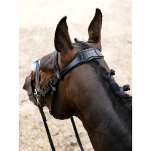 Bridle with crossed noseband LeMieux image-1