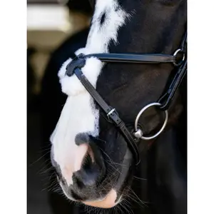 Bridle with crossed noseband LeMieux image-2