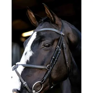 Bridle with crossed noseband LeMieux image-3