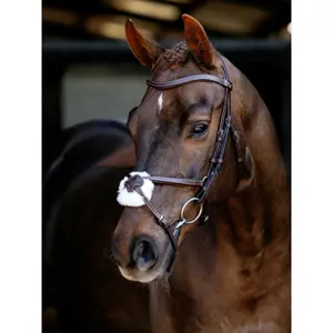 Bridles for horses LeMieux image-0