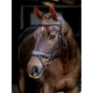 Split Noseband Riding Bridle LeMieux image-0