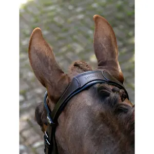 Split Noseband Riding Bridle LeMieux image-3