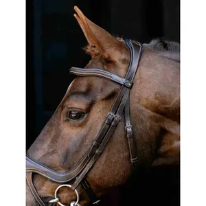 Split Noseband Riding Bridle LeMieux image-1