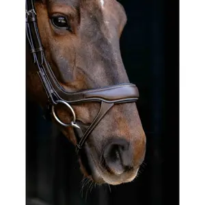 Split Noseband Riding Bridle LeMieux image-2