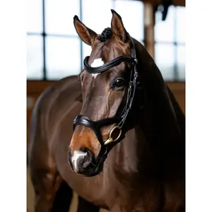 Bridles for horses LeMieux Kudos image-1