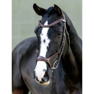 Bridles for horses LeMieux image-1