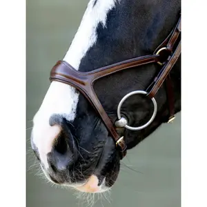 Bridles for horses LeMieux image-2