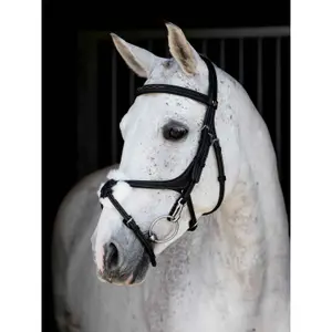 Bridle with crossed noseband LeMieux image-1