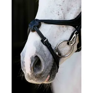 Bridle with crossed noseband LeMieux image-2