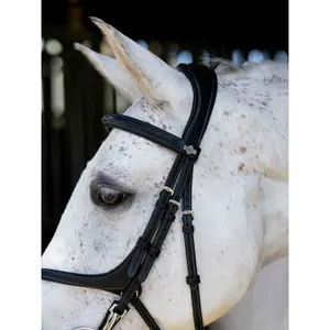 Bridle with crossed noseband LeMieux image-3