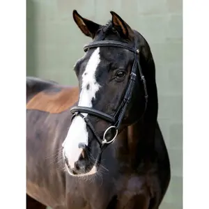 Bridles for horses LeMieux Flash Arika image-1