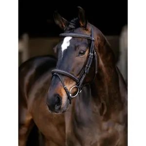Bridons Reiten für klassische Pferde LeMieux image-1